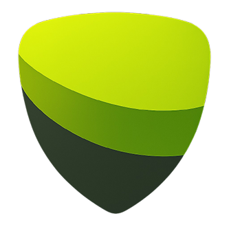 VPN Logo